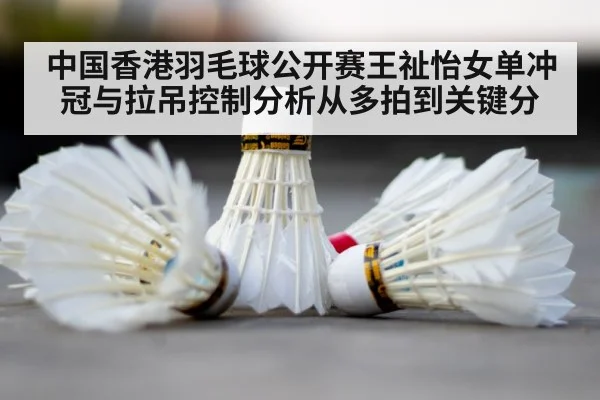 badminton court shuttlecock
